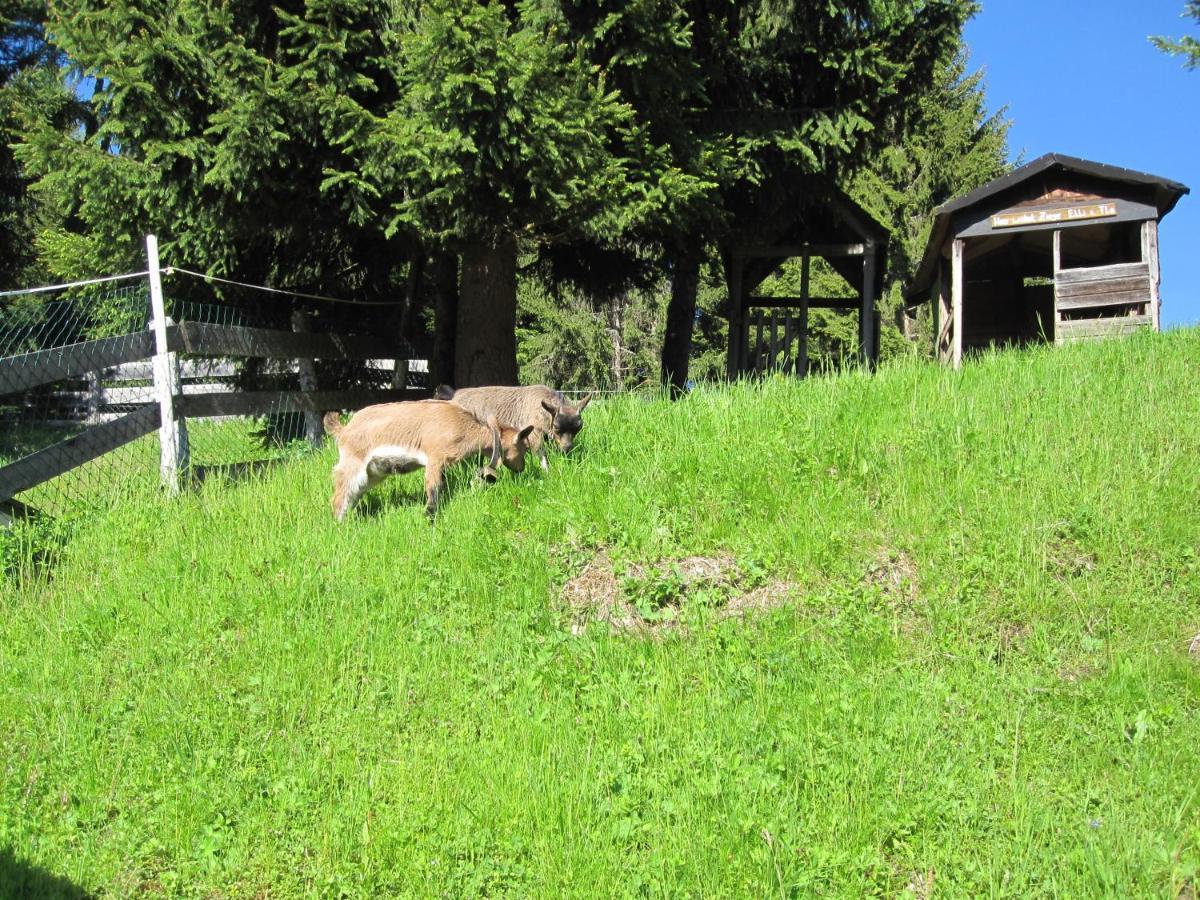 Reitlehenalm Altenmarkt im Pongau Exterior foto